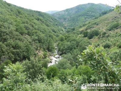 Parque Nacional Monfragüe - Reserva Natural Garganta de los Infiernos-Jerte;excursiones fin de año